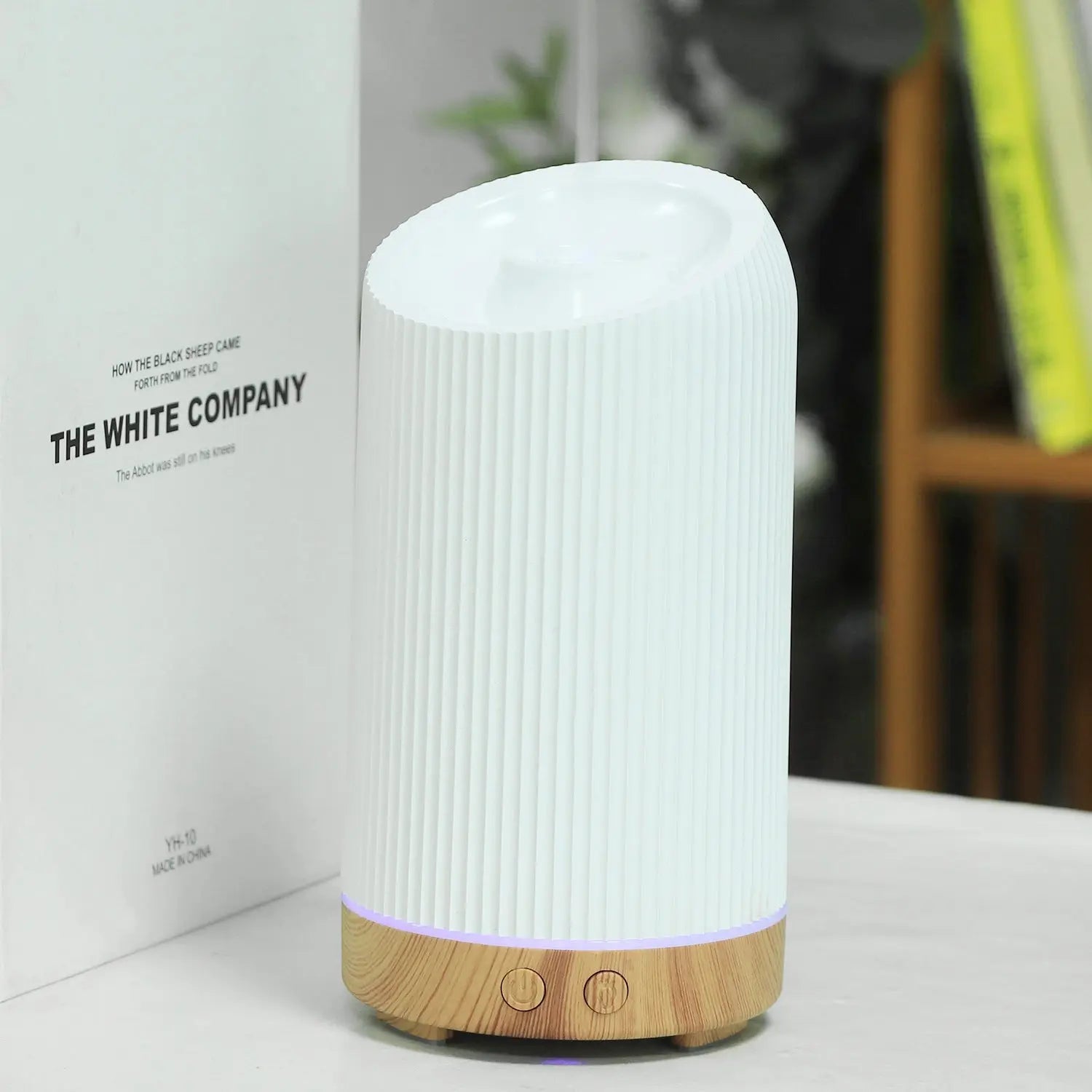 Aroma Humidifier - Ramixor